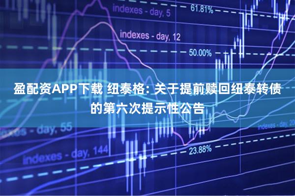 盈配资APP下载 纽泰格: 关于提前赎回纽泰转债的第六次提示性公告