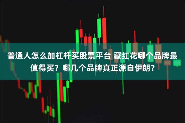 普通人怎么加杠杆买股票平台 藏红花哪个品牌最值得买？哪几个品牌真正源自伊朗？