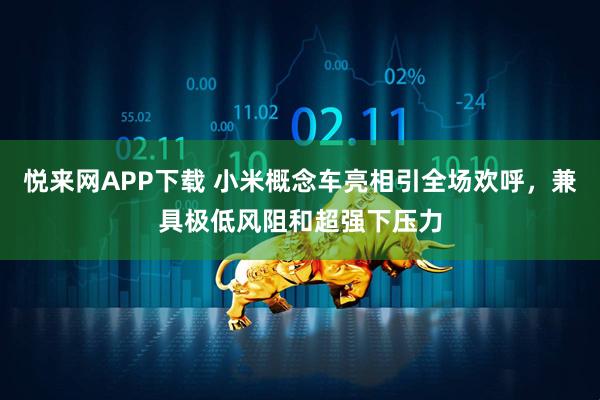 悦来网APP下载 小米概念车亮相引全场欢呼，兼具极低风阻和超强下压力